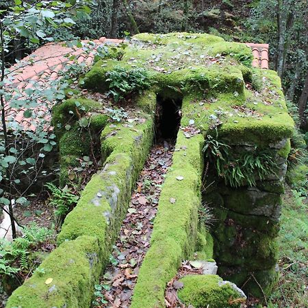 O Pineiro Casa Solveiraゲストハウス エクステリア 写真