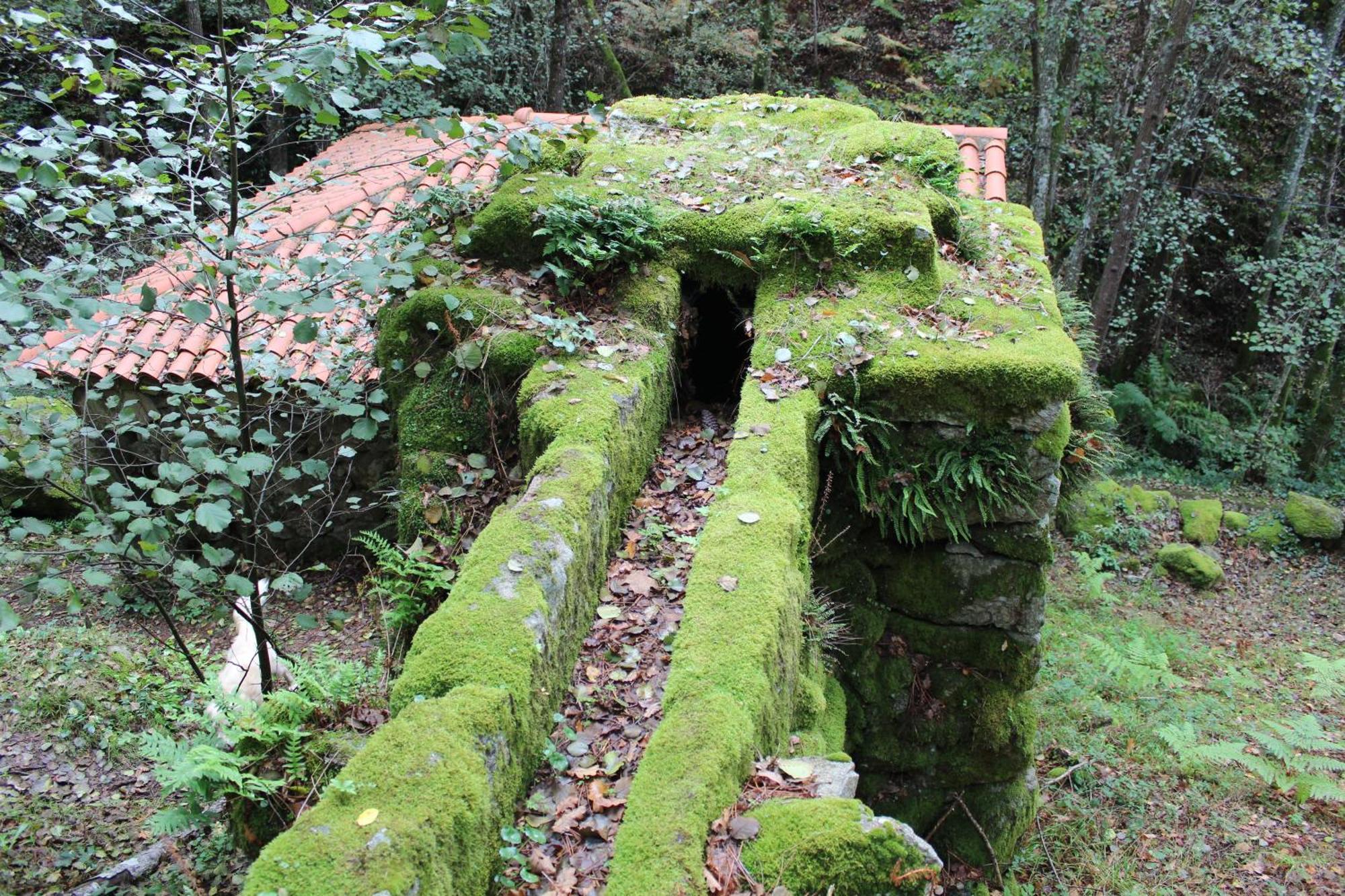 O Pineiro Casa Solveiraゲストハウス エクステリア 写真
